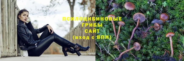 герыч Бородино
